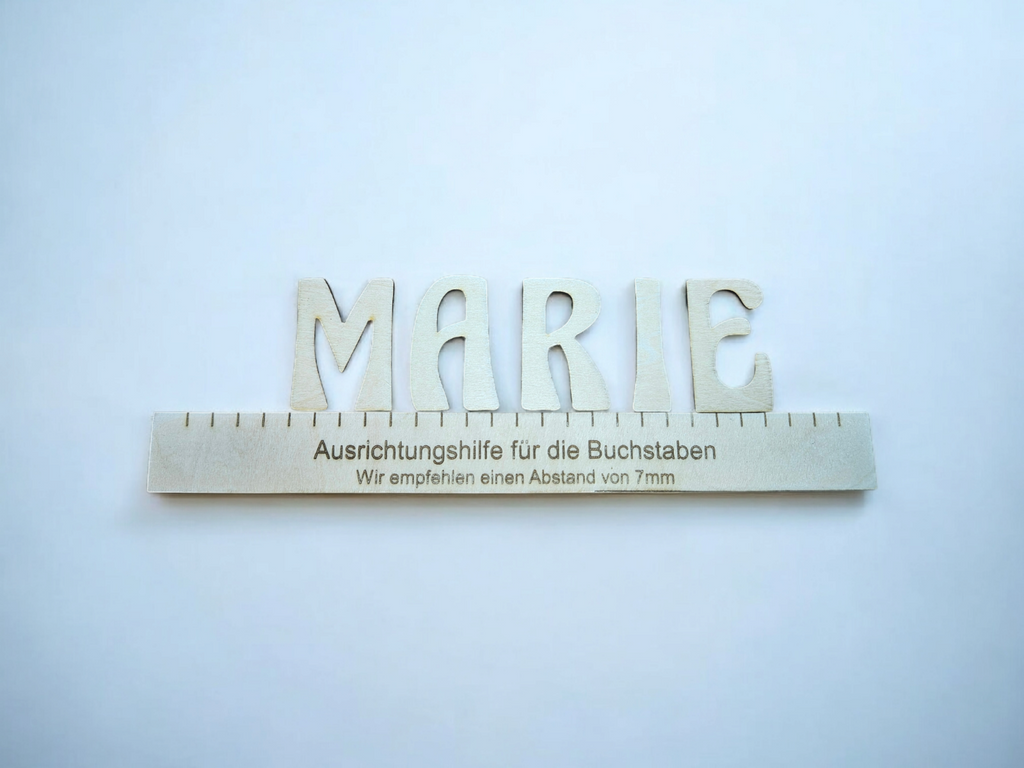 Türschild Namensschild Kinderzimmer Türe Deko Türdeko Kids Zug Fee Sterne Bunt