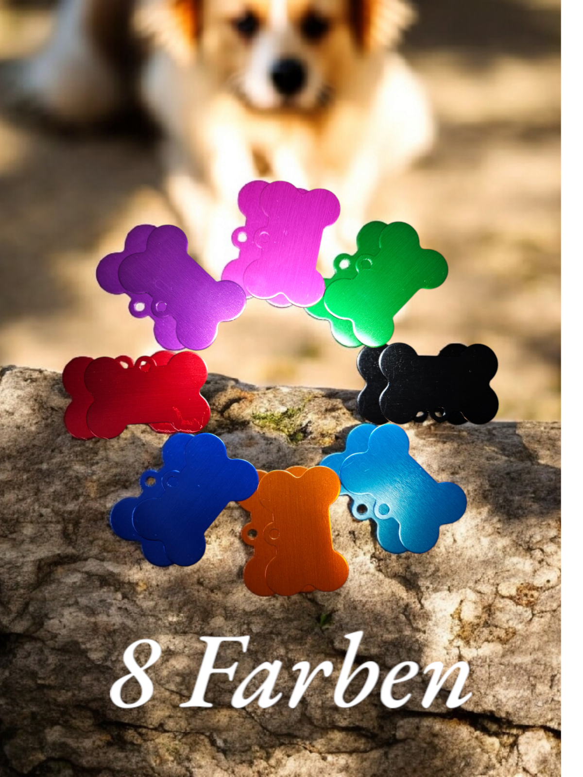 Hundemarke Katzenmarke Hundeplakette mit Namen und Wunschtext Katze Freigänger